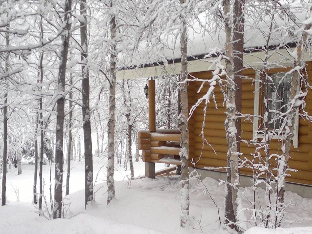 Дома для отпуска Hoviranta Tiainen Cottage Tiainen-49