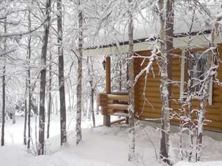 Дома для отпуска Hoviranta Tiainen Cottage Tiainen Коттедж с сауной-46