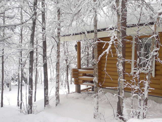 Дома для отпуска Hoviranta Tiainen Cottage Tiainen-24