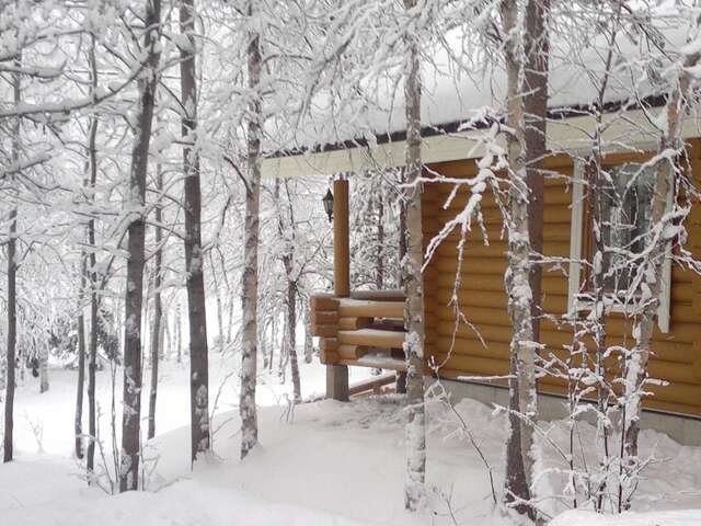 Дома для отпуска Hoviranta Tiainen Cottage Tiainen-48